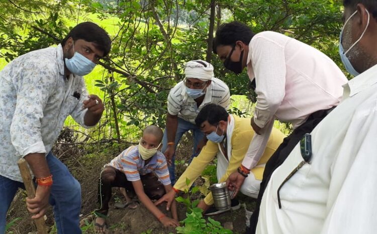  सोनभद्र-: जनपद में हुई “अमर स्मृति पौधरोपण अभियान” की शुरुआत, लगाए 5 पौधे