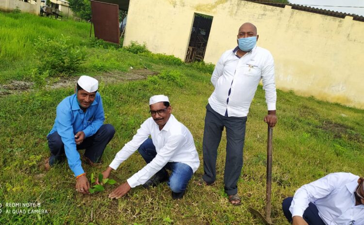  सोनभद्र-: घोरावल तहसील परिसर में स्वतंत्रता दिवस के अवसर पर कार्यरत अधिवक्ताओं द्वारा किया गया वृक्षारोपण