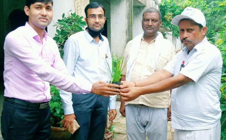  मिर्जापुर-: पर्यावरण शुद्ध रहेगा तभी हम स्वस्थ रहेंगे-(ग्रीन गुरुजी)