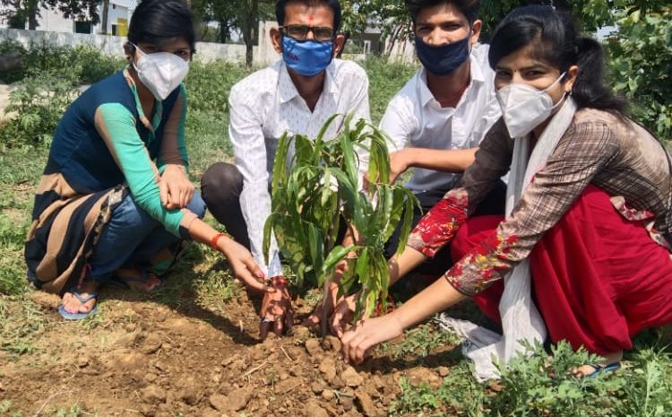  सोनभद्र। पूरे जिले भर में लागये जाएंगे पांच हजार औषधी पौधे-हिमांशु