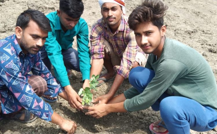  सोनभद्र। विश्व पर्यावरण दिवस पर युमंद कार्यकर्ताओं ने पर्यावरण संरक्षण का लिया संकल्प