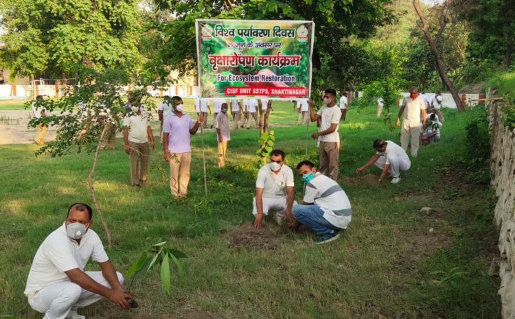  सोनभद्र-: CISF शक्तिनगर ने वृक्षारोपण कर किया लोगों को जागरूक