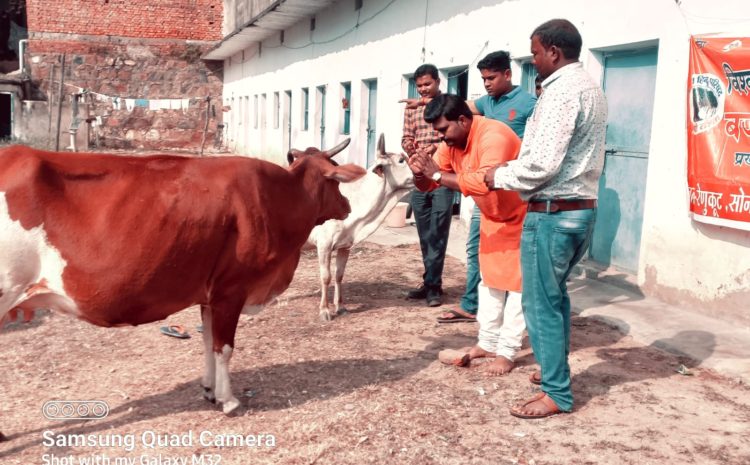  सोनभद्र-: बीजपुर में गोपाष्टमी के शुभ अवसर पर गौ पूजन का कार्यक्रम हुआ संपन्न