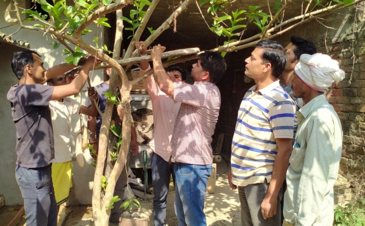  सोनभद्र-: बेजुबान पशु पक्षियों की मदद के लिये आगे आयें-(सौरभ कान्त पति तिवारी)