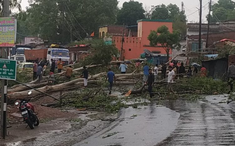  सोनभद्र-: बिते तूफान बारिश में बिजली व्यवस्था खराब होने के बाद, पुन: बहाल होने पर दिखी खुशी