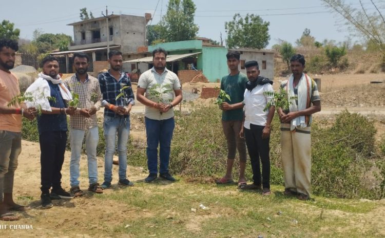  सोनभद्र-: धरती की रक्षा के लिए पर्यावरण संतुलन है जरूरी-(राज सिंह)