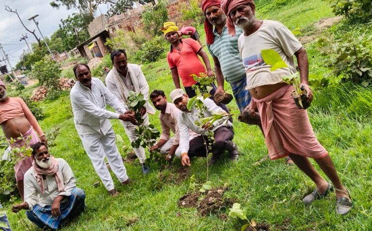  सोनभद्र-: युवक मंगल दल हर गांव में लगाएगा इक्कीस पौधे-(शाहिद खान)