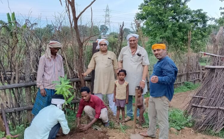  सोनभद्र-: म्योरपुर रोड रेलवे स्टेशन पर हुआ वृहद वृक्षारोपण